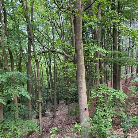 Chata Dans Les Bois Avec Bain Nordique Et Cinema *