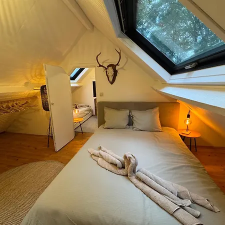 Dans Les Bois Avec Bain Nordique Et Cinema Chata