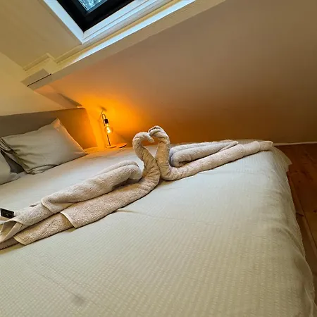 Dans Les Bois Avec Bain Nordique Et Cinema Chata *