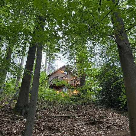 Dans Les Bois Avec Bain Nordique Et Cinema